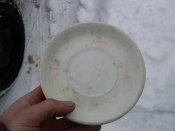 SDC10354.jpg