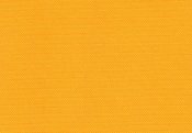 66482342_w640_h2048_cordura1000dyellowsunshine.jpg