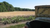 IMG_0625.JPG