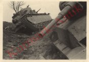 Beute Panzer.jpg