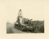 ed087kopie.jpg