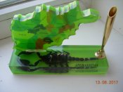 DSCN0155.JPG