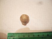 SDC13806.jpg