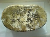 DSC01076.JPG