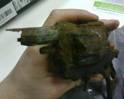 IMG0465A.jpg