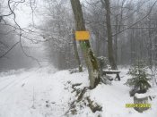 SDC16638.jpg