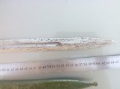 IMG_20170813_175354.jpg