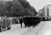 Парад Стави Пілчинських 1943.jpg