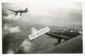 Ju 87 im Flug.jpg