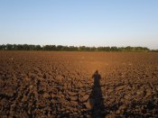 20170817_190617.jpg