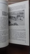 20170810_191001.jpg