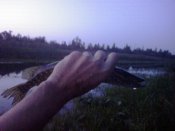 DSC00362.JPG