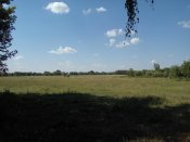 IMG_20170817_143843.jpg