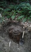 20170820_194538.jpg