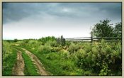 IMG_3095.jpg