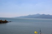 IMG_3649.jpg