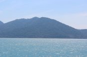 IMG_3653.jpg