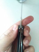 IMG_20170822_061318.jpg