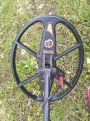 IMG_20170726_141156.jpg