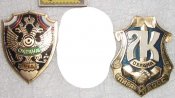 нагрудный/должностной знак знаки охрана