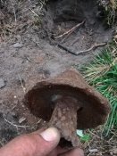 WP_20170825_18_50_47_Pro.jpg