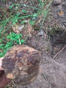 WP_20170825_18_45_21_Pro.jpg
