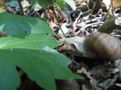 IMG_20170825_150131.jpg