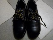 IMG_20170826_160407.jpg