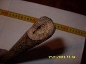 SDC12832.jpg