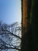 Photo0213.jpg