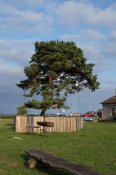 Saaremaa_ALBION_100_8.jpg
