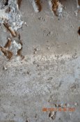 DSC_5756.JPG