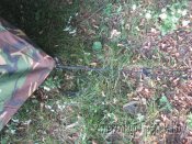 Лот № А2484 Палатка одноместная двускатная армии Нидерландов (Голландии) DPM (оригинал)