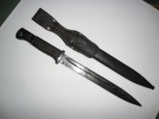 SAM_1163.jpg