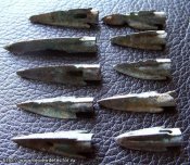 rodonach_psyhichnoi05.jpg