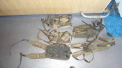 DSC01313.jpg
