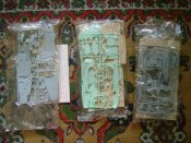 DSC08900.JPG