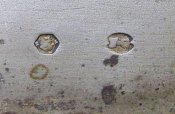 DSC07117_.jpg