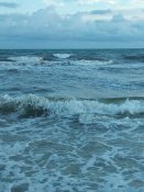 IMG_20170728_200538.jpg