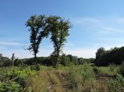 DSCN8059.JPG