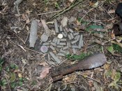 DSCN8070.JPG