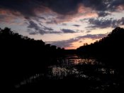 IMG_20170820_193032.jpg