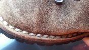 20170831_155058.jpg
