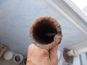 DSCN8277.JPG