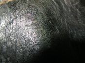 IMG_4478.jpg