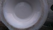 DSC_0626.JPG
