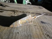 Трехлопастной бронебой с утяжеленной боевой частью, гунский тип.