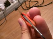 IMG_20170904_074554.jpg