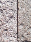 IMG_20170904_095444.jpg