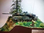 DSC_0668.jpg